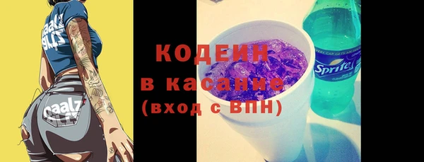 прущий лед Алзамай