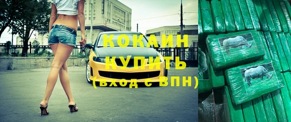 прущий лед Алзамай
