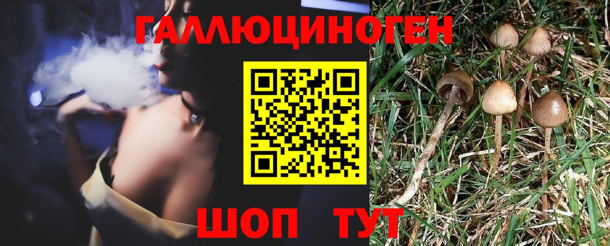 Галлюциногенные грибы Cubensis Лесосибирск