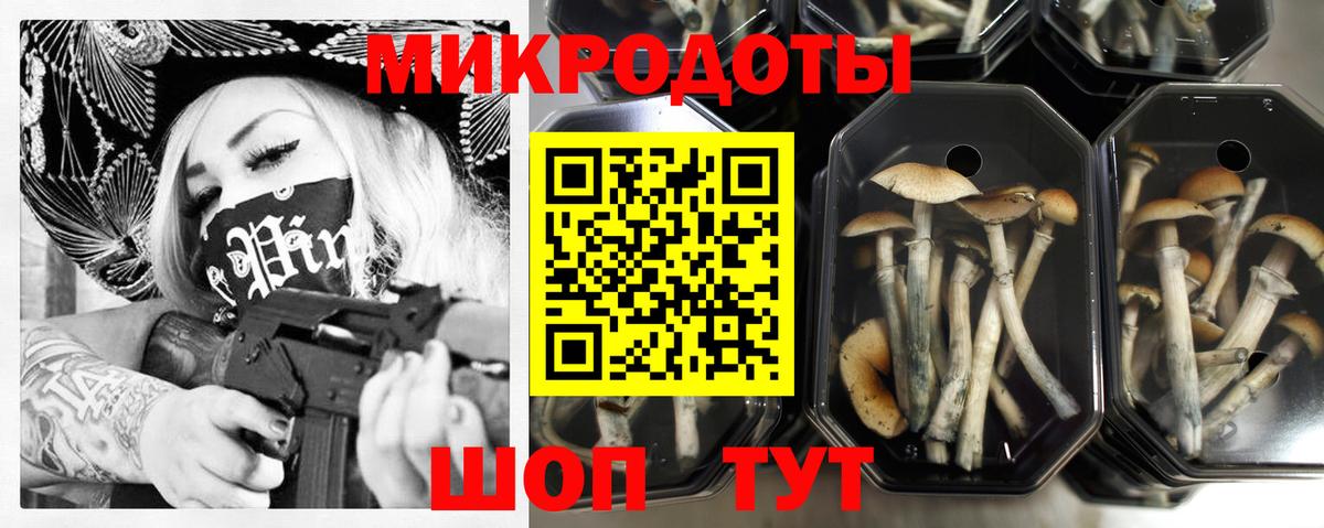 Галлюциногенные грибы Cubensis Лесосибирск